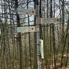 24-02-26 13-50-03 8707